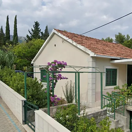 House * Бол