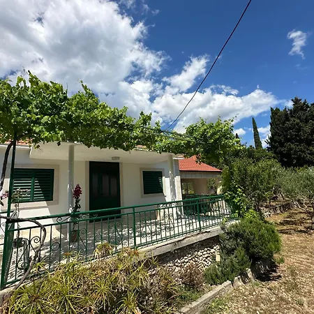 House * Бол